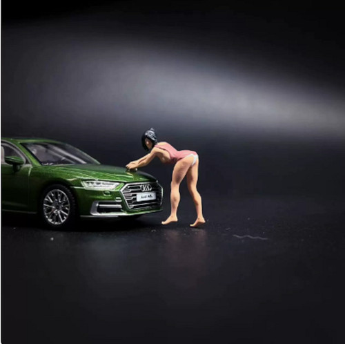 Car cleaning sister - car,